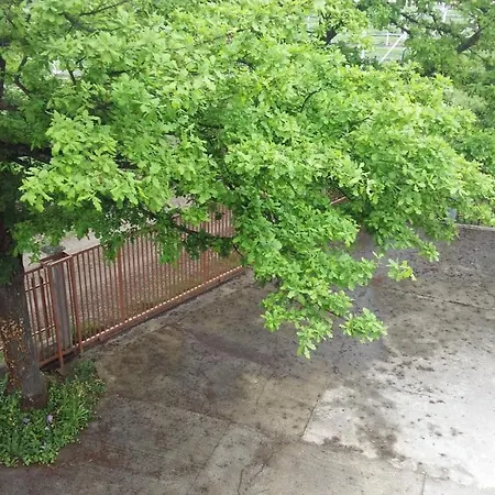 Vacation Ilidza